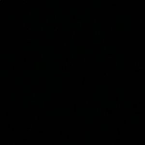 Meet your Posher, Sophia